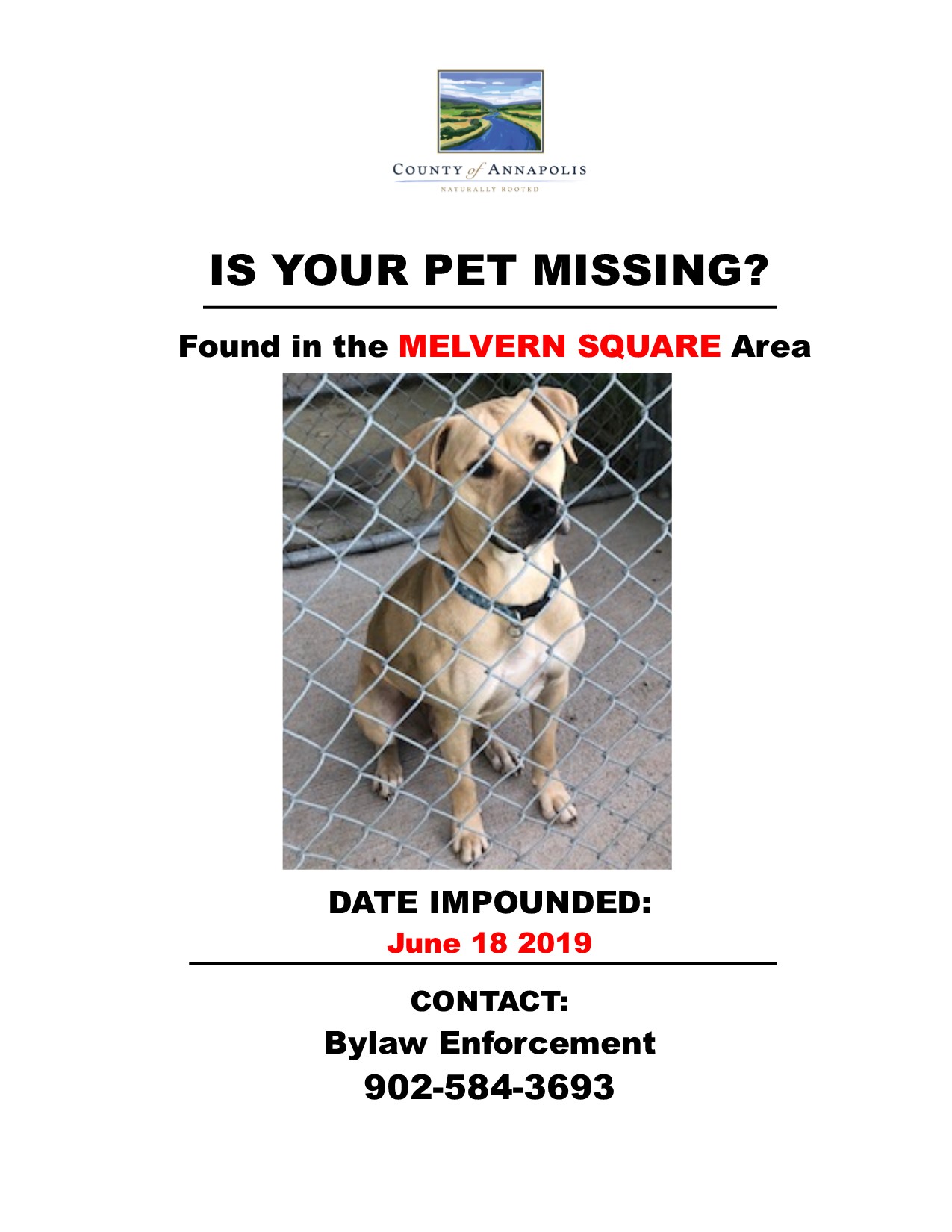 A1 2019 20 031 melvern square