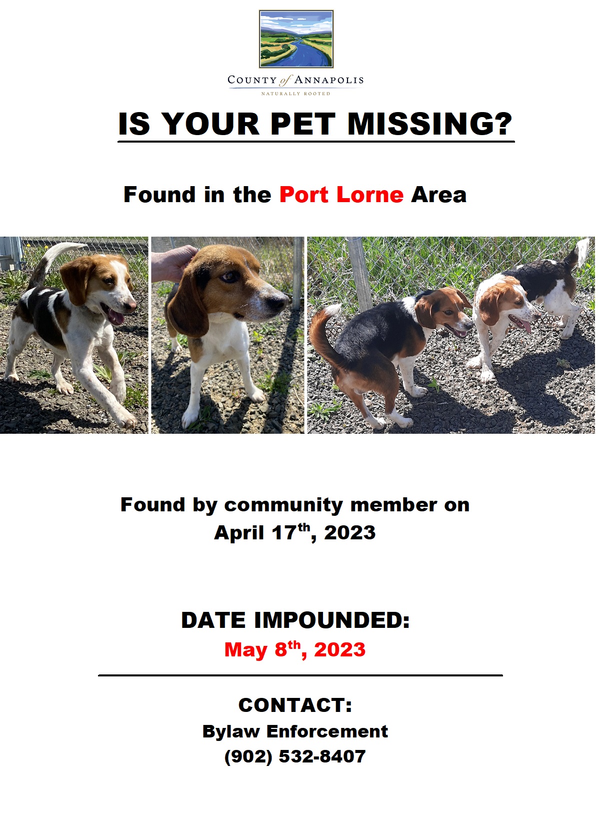 Missing Animal Poster A1 20232024 018.019