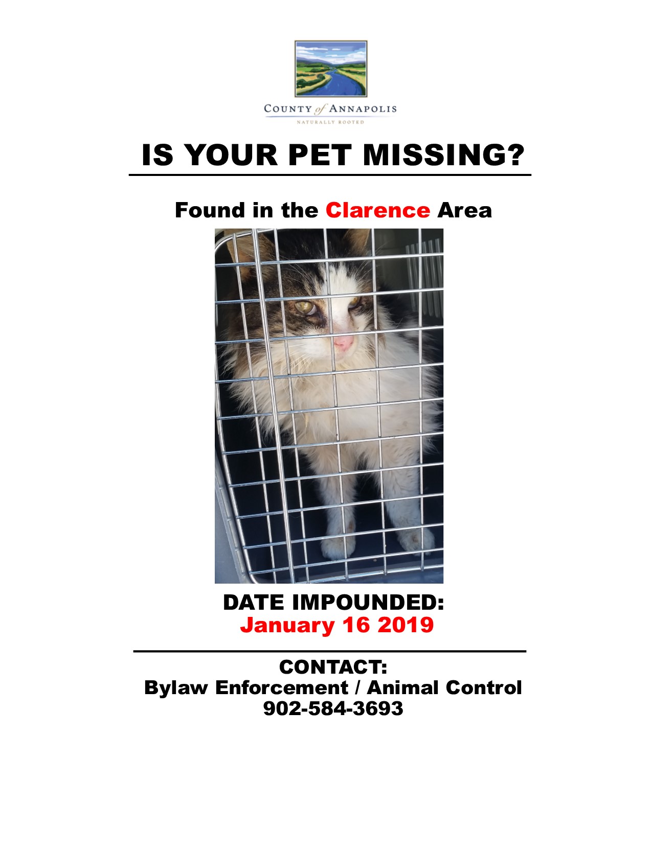 clarence cat 198